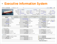 Executive Information System