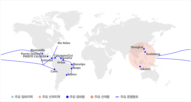 §	SK해운은 현재 극동  동남아시아 – 중남미 항로 간 연 6 항차 이상 철재 및 각종 화물을 운송하고 있습니다 .
                    §	주요 양하항은 Shanghai , Kaohxiung , Jakarta , Puerto Quetzal , PUERTO CALDERA , Cristobal , Callo , Cartagena(Co) , Goanta , Ordaz , Mucuripe , Suape , Santos 입니다.
                    주요 선적지역은 동남아시아 입니다. 